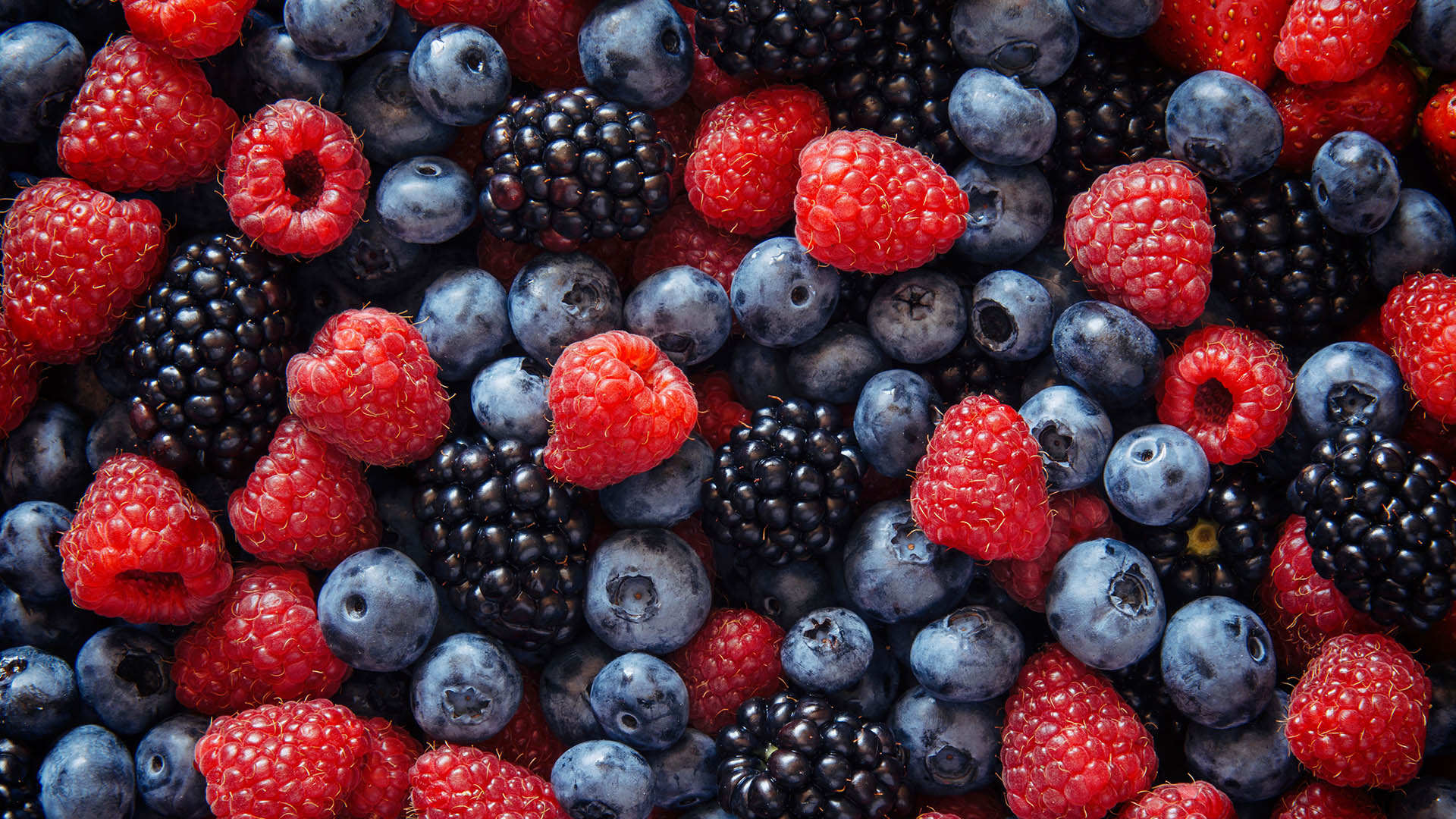 Mirtilli, more, lamponi e ii frutti di bosco in genre contengono flavonoidi importantissimi per la nostra salute. Quelle stesse sostanze che ne donano il colore e sapore caratteristici 