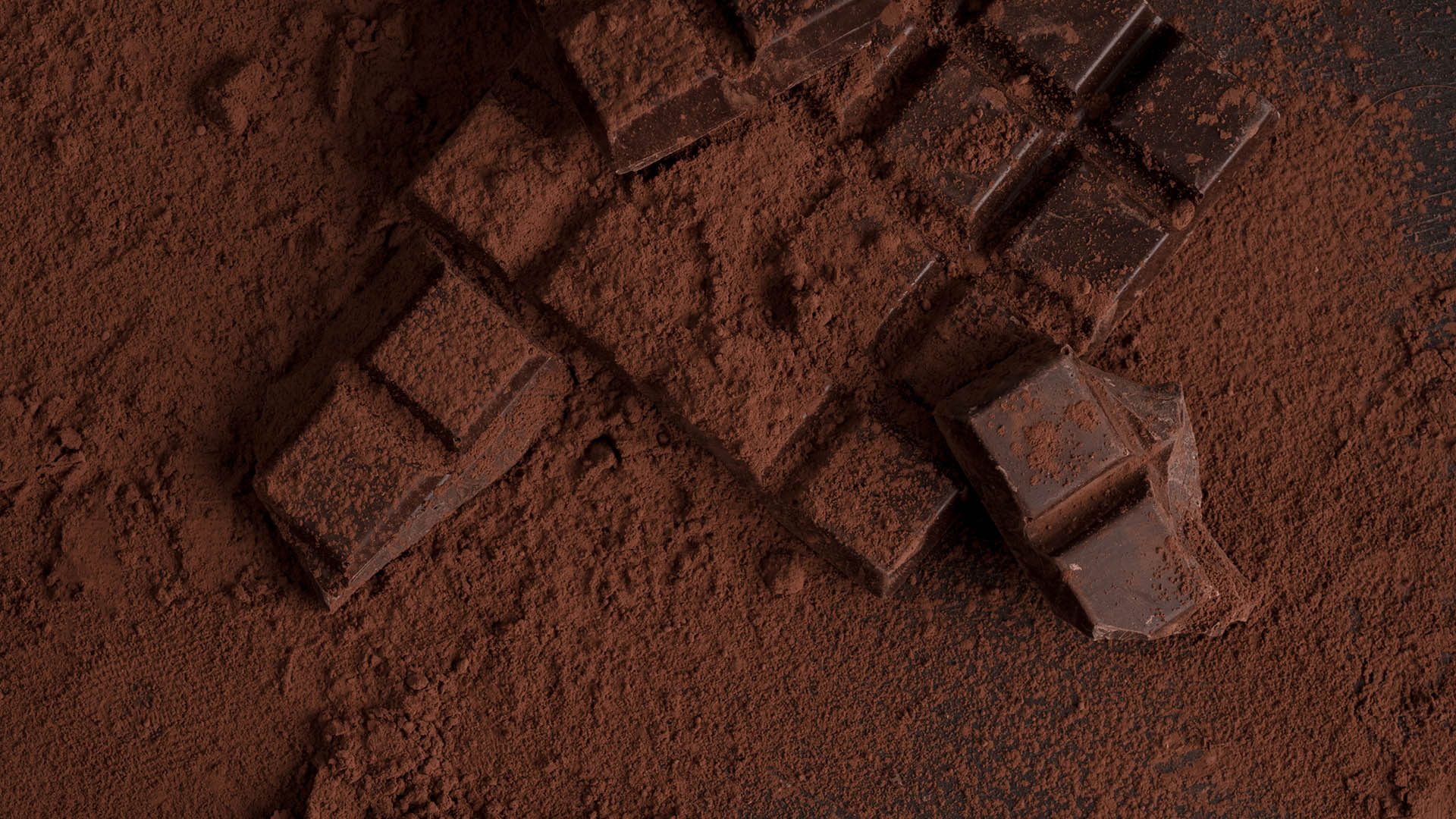 Cioccolato fondente nella classica tavoletta e cacao amaro in polvere
