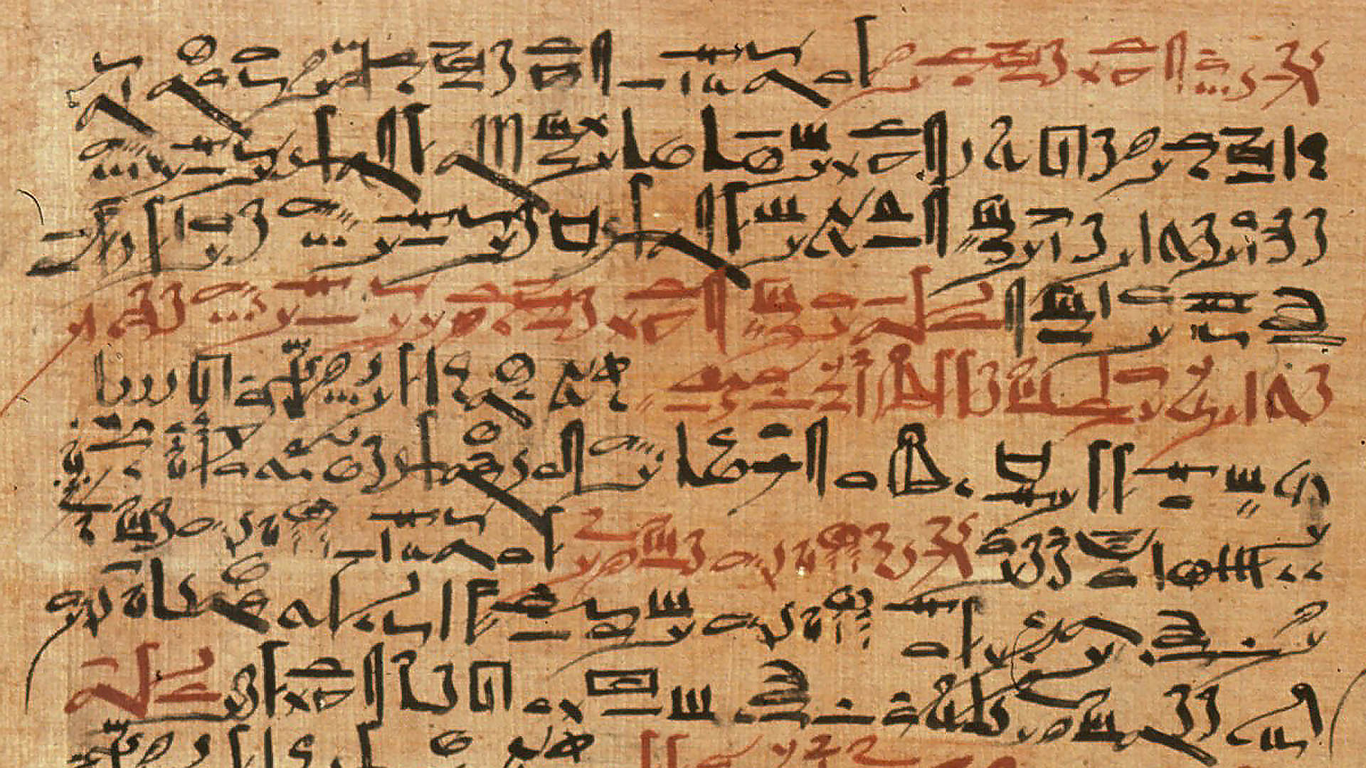 Un dettaglio del papiro egizio di Edwin Smith che riporta l'utilizzo del miele per fini chirurgici